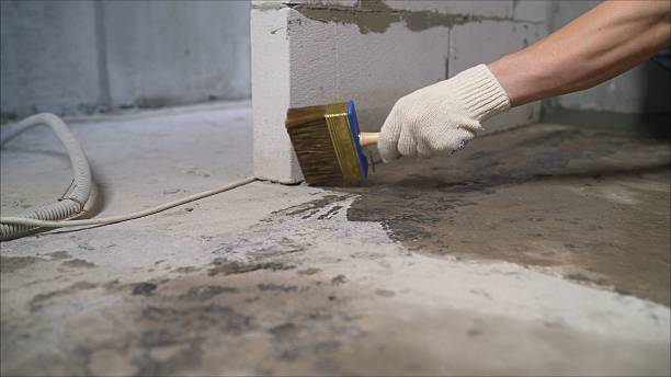 24/7 Emergency Interior Drainage System experts in Albertville, AL